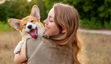 Pet Insurance in the USA